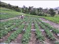 Experimento de agroecologIa